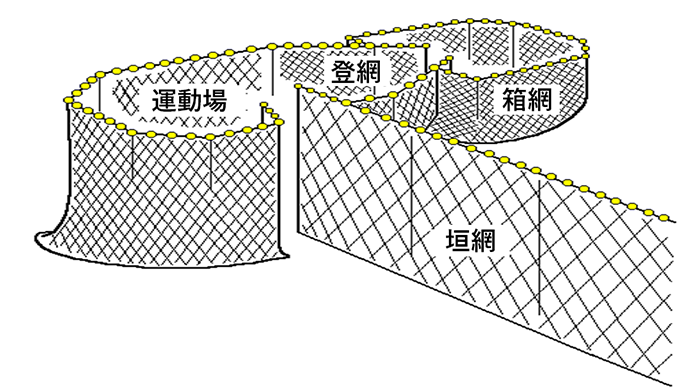 定置網漁業