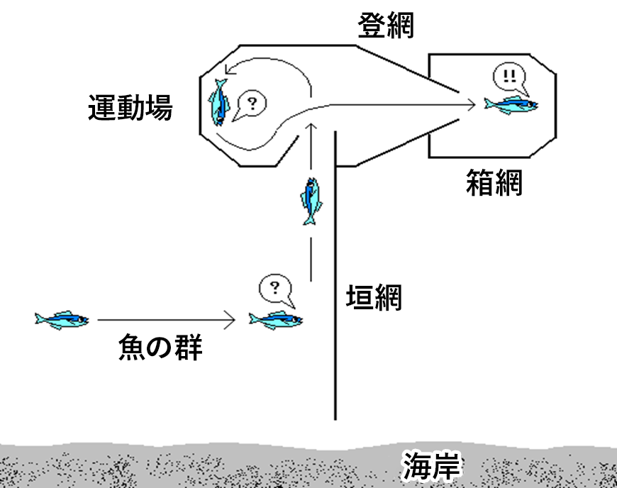定置網漁業