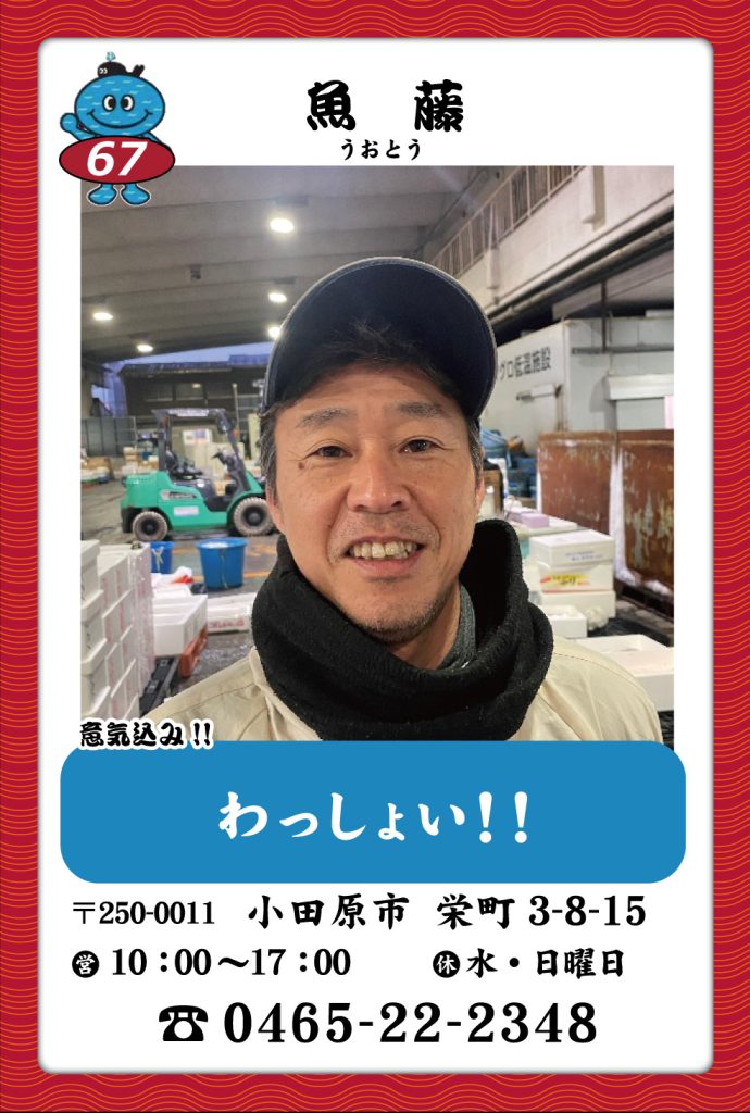 魚屋-67　魚藤