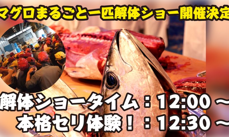 「みなとマルシェ」マグロ解体ショー